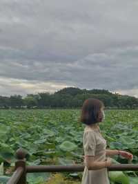 경남 진주 최고의 연못공원💚 강주연못 💚