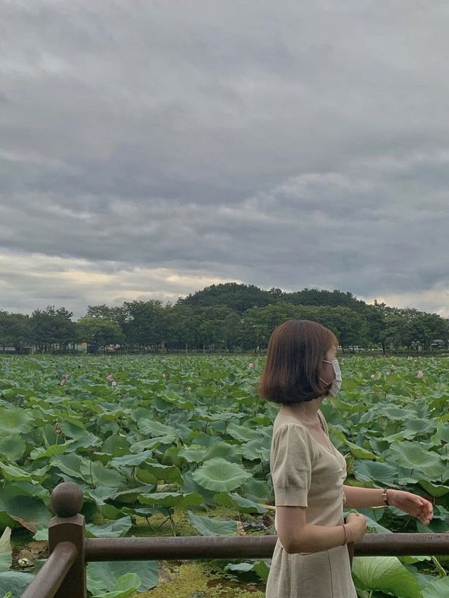 경남 진주 최고의 연못공원💚 강주연못 💚