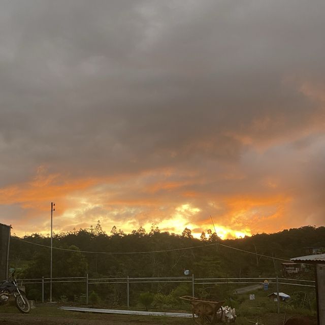 Sky Nature’s Place 🏡 
