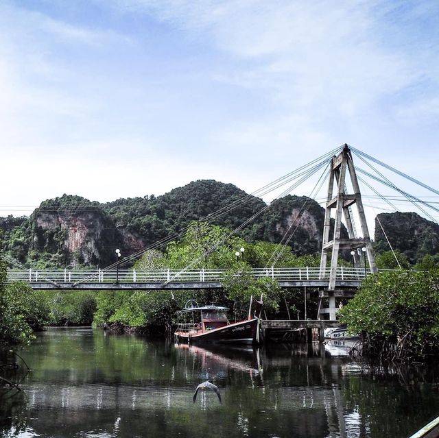 เกาะพีพีก็มีเส้นทางสีเขียว สงบๆ ที่คลองวิลเลจ