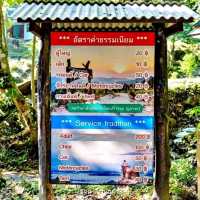 พิชิตยอดเขา ภูตาจอ ทะเลหมอกเต็มตา