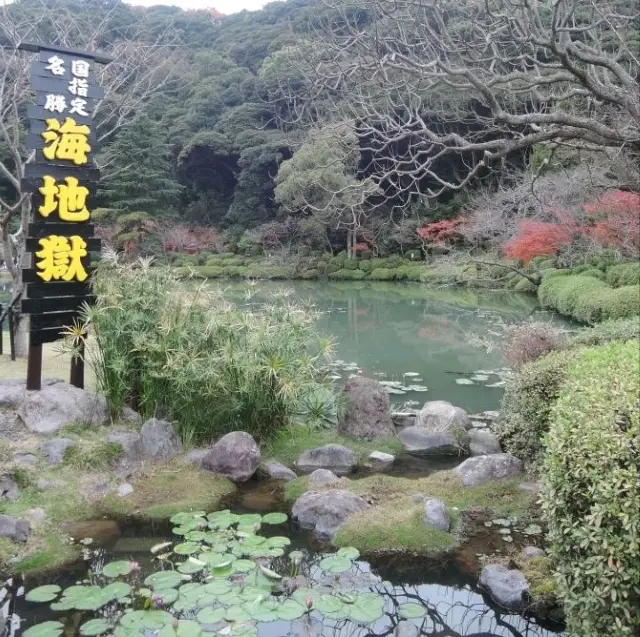 Colourful Hot Springs in Beppu 