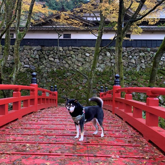 紅葉が素晴らしく　即身成仏のミイラがある珍しいお寺