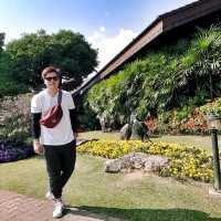 ดอยตุง หรือพระตำหนักดอยตุง 