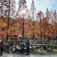 設有自家芝士館｜六甲山牧場