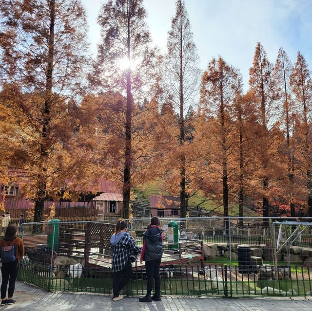 設有自家芝士館｜六甲山牧場