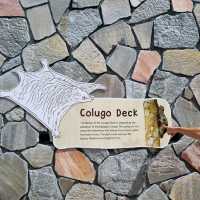 Newly opened Rifle Range Nature Park