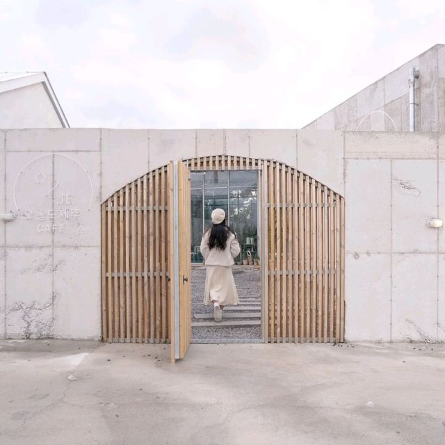 🍊제주도 신상 감성카페!🍊