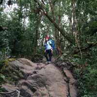 Trekking to Fansipan 