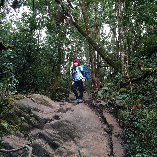 Trekking to Fansipan 