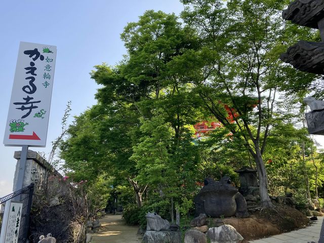【福岡　如意輪寺】🐸かえる寺🐸