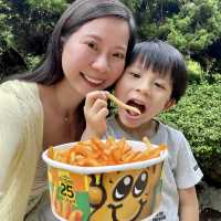 📣薯條控大召集!