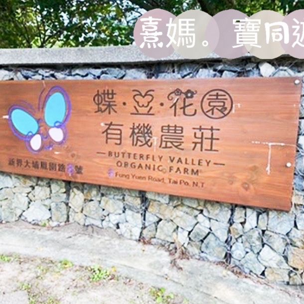 熹媽熹寶推介❤️ 打卡打到手軟-位於大埔ge 蝶豆花園有機農莊🤩
