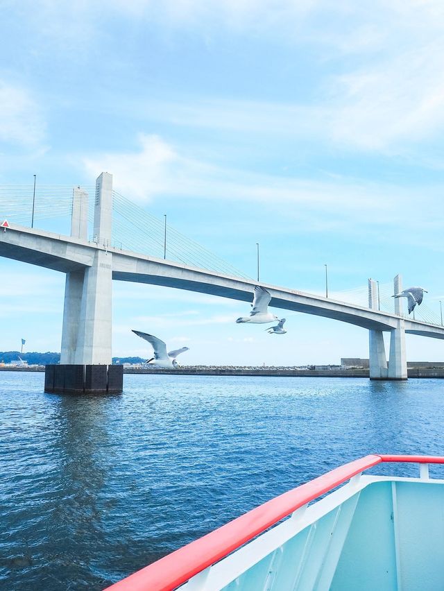 福島県　小名浜デイクルーズ