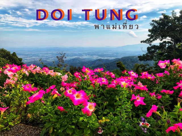 🌹สีสันแห่งดอยตุง🌸