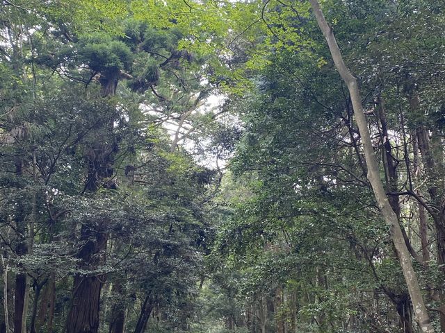 鹿島神宮