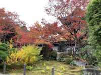 京都[紅葉めぐり] 南禅寺　天授庵- 枯山水庭園にて和む -