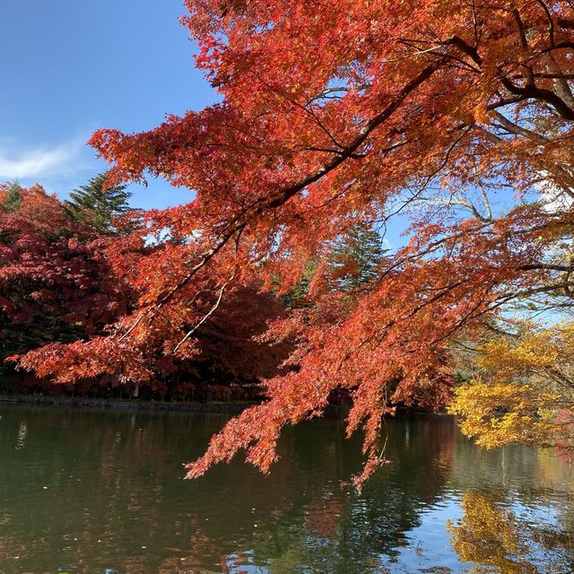 軽井沢『雲場池』