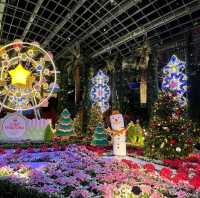 Flower Dome, Christmas light Editon
