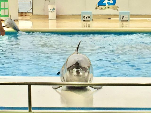 【福岡】水族館🐠マリンワールド海の中道