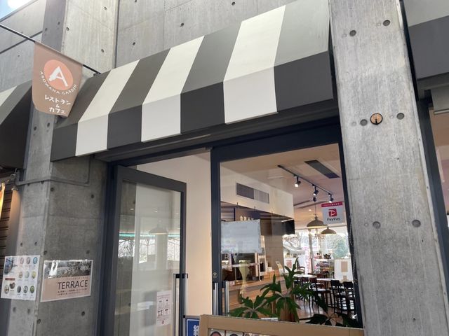 岐阜🐠アクアトトの中にあるレストラン🍽【AROWANA Garden】