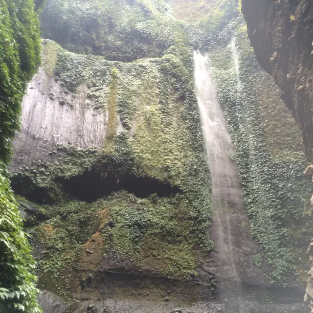 Winsome Waterfall Madakaripura