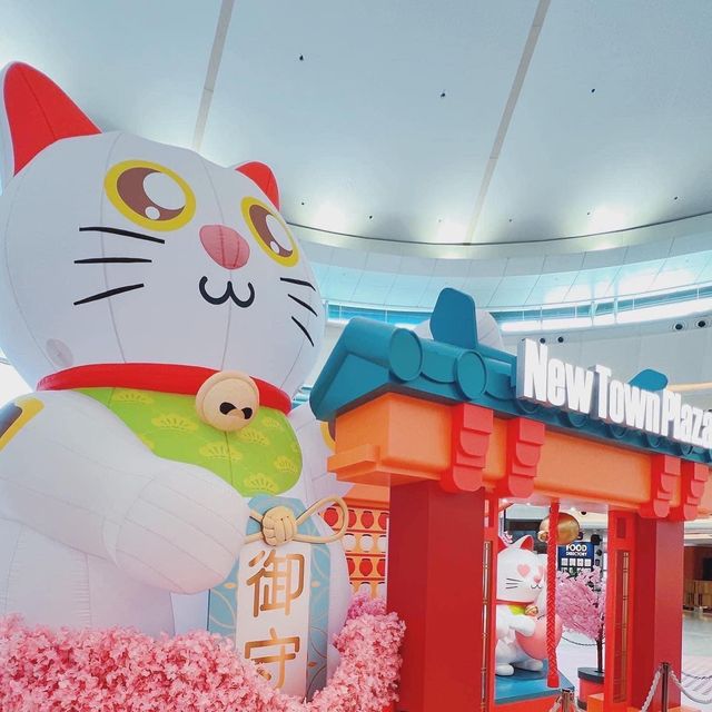 招財貓貓駕到