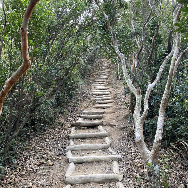  看不見盡頭的孖崗山梯級👻