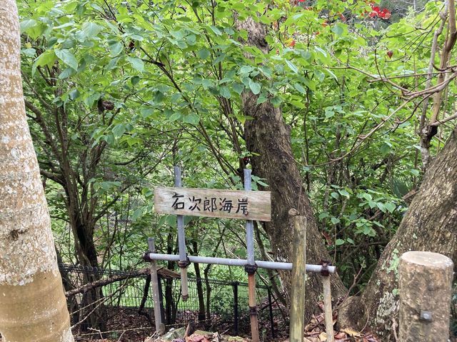 【東京】日本で1番遠い島？「母島」