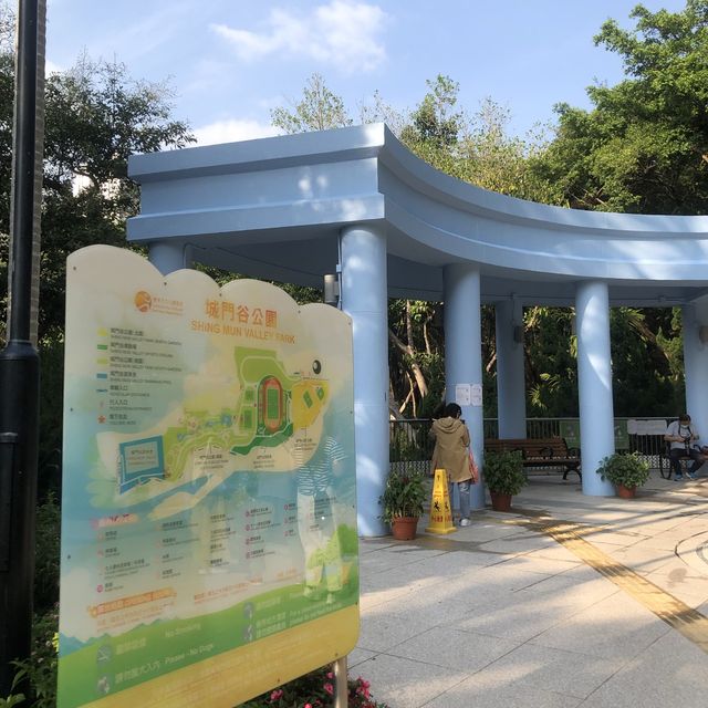 城門谷公園🌸賞賞吉野櫻