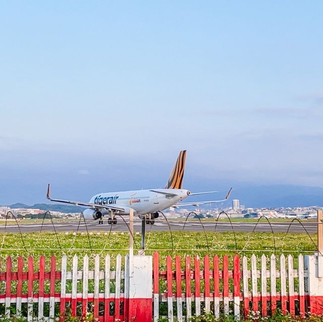 [台北景點]飛機迷的最愛~台北飛機巷｜松山機場另類觀景台 飛機降落超有感 