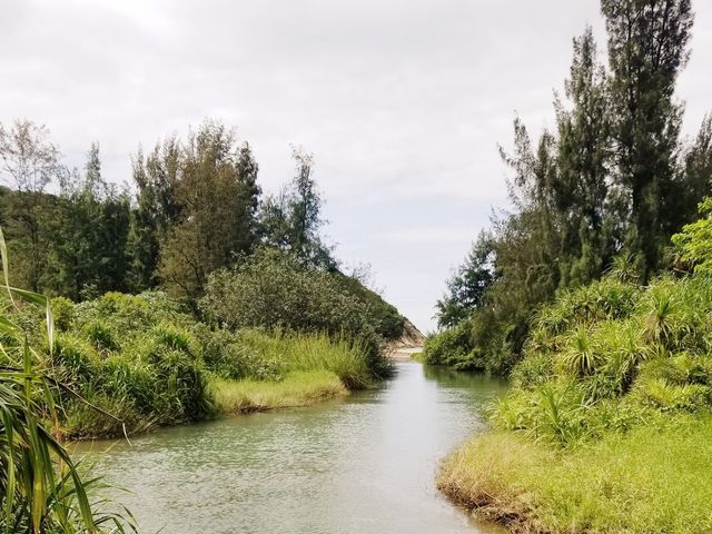 分流