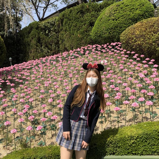 대구 대표 놀이공원은 이월드🎠