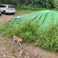 서울 계곡 추천 :진관사 계곡💚