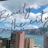白茶花主題海景套房