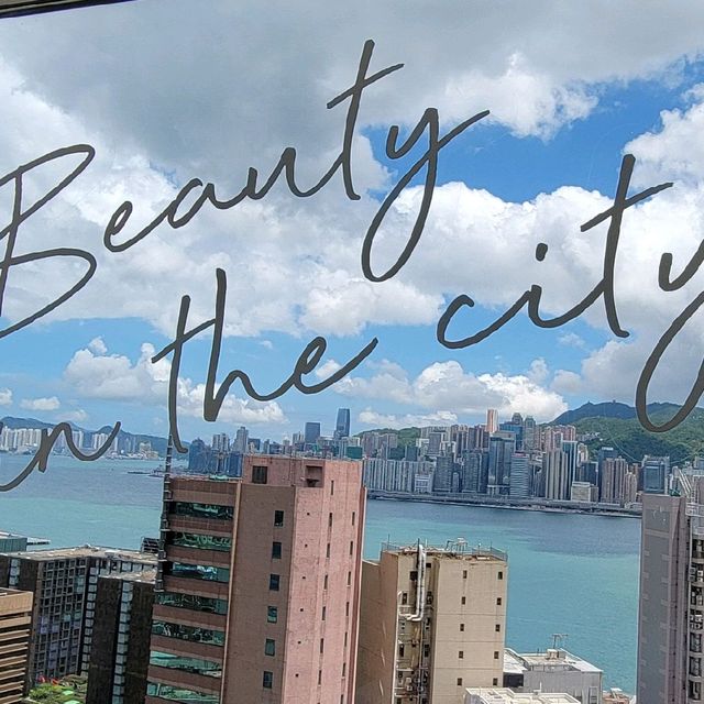 白茶花主題海景套房