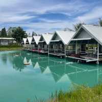 ทิวผาคาเฟ่