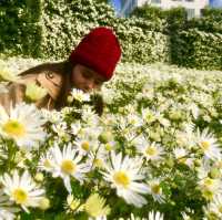Flower Valley Tay Ho