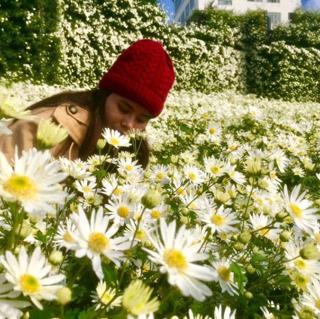 Flower Valley Tay Ho