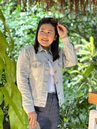 บ้านต้นไม้ คาเฟ่ The Tree House Café 