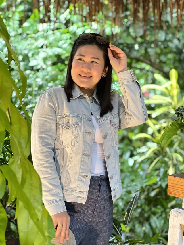 บ้านต้นไม้ คาเฟ่ The Tree House Café 