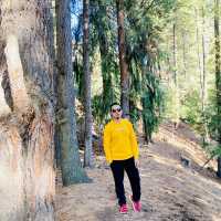 day 4 in nanga prabat