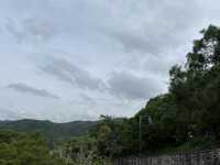 馬騮滿山的金山郊野公園