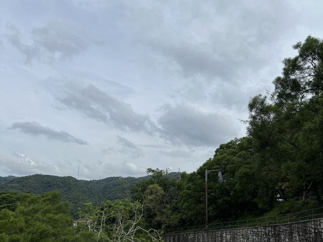 馬騮滿山的金山郊野公園