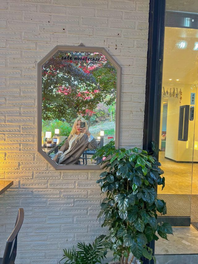 화담숲근처 숲속카페☕️