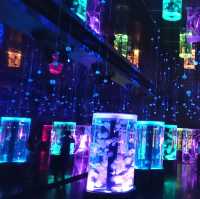🌙✨夜もやってる水族館🐠