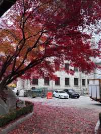 韓國最高顏值的大學