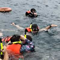 Paya Beach Resort, Pulau Tioman