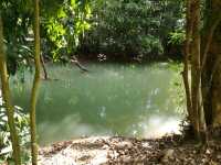 อุทยานแห่งชาติธารโบกขรณี 