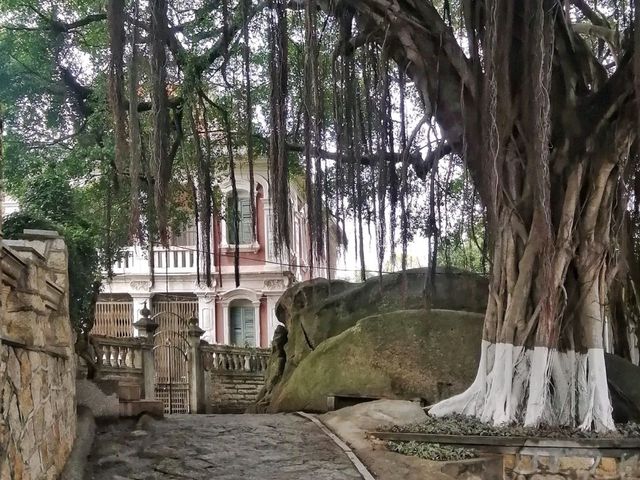 Historic Gulangyu Island 🏝🏛🏘